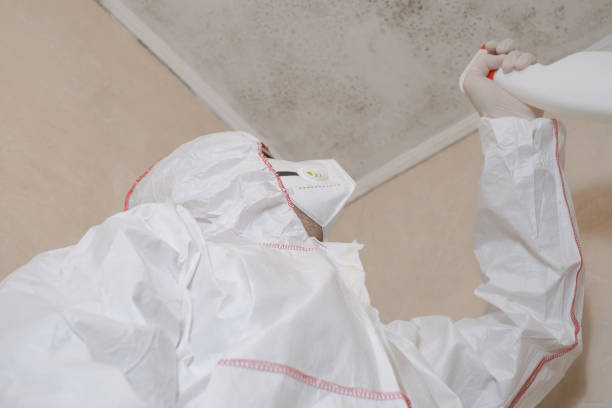 Best Residential Mold Remediation in Helena West Side, MT